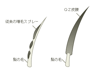 QZ皮膜の特徴